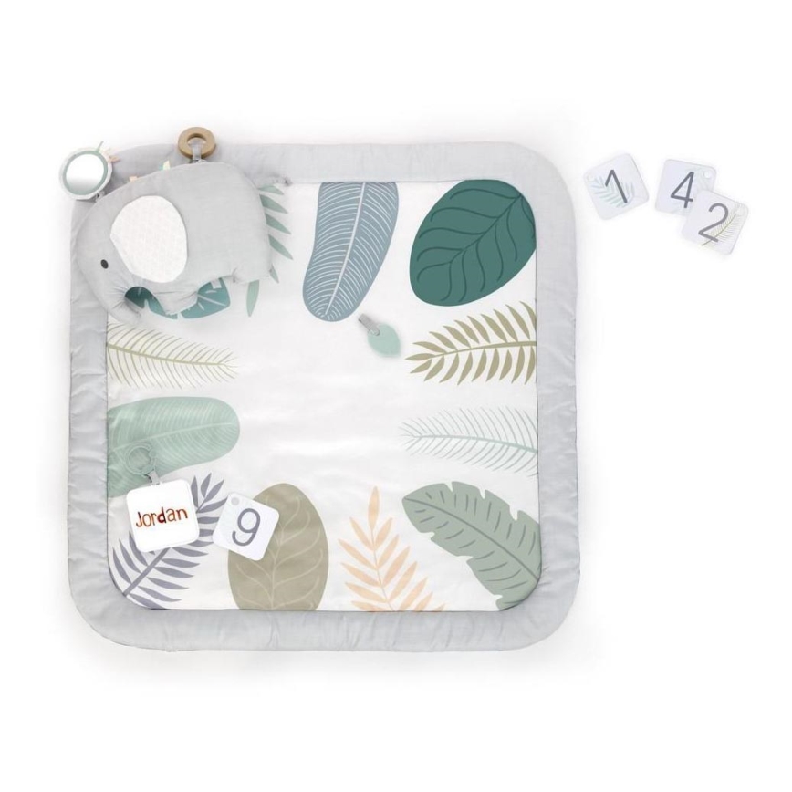 Ingenuity - Saltea de joacă pentru copii SPROUT SPOT