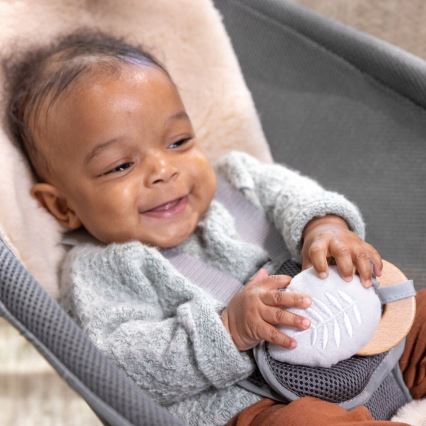 Ingenuity - Leagăn pentru copii cu vibrații și melodie EVERY SEASON WESLEY 3xC gri