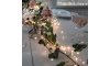 Instalație LED de Crăciun 360xLED 2m alb cald Eglo