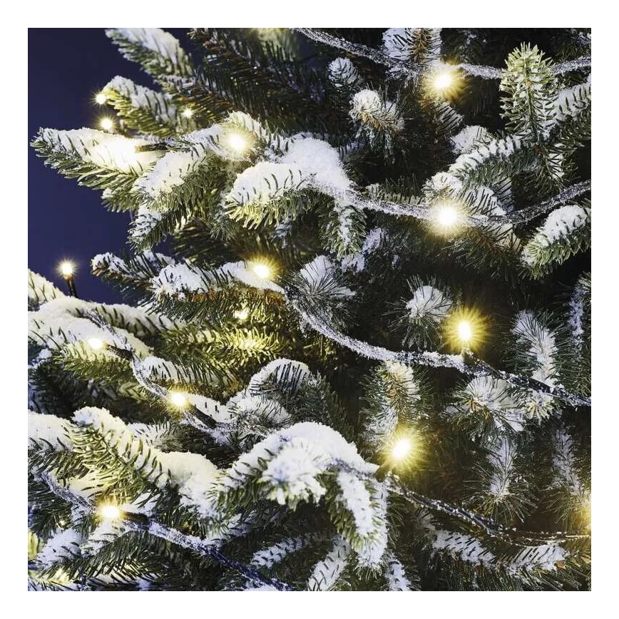 Instalație LED de Crăciun de exterior 100xLED/10m IP44 alb cald