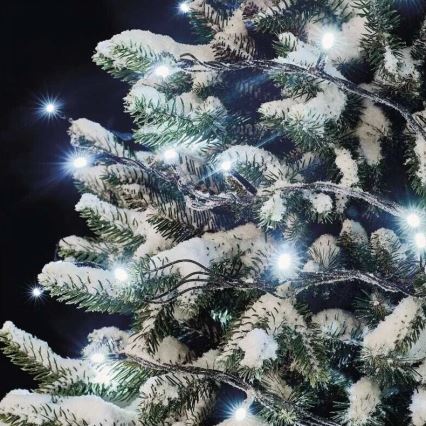Instalație luminoasă LED pentru exterior, 50 LED / 5 m, IP44, alb rece
