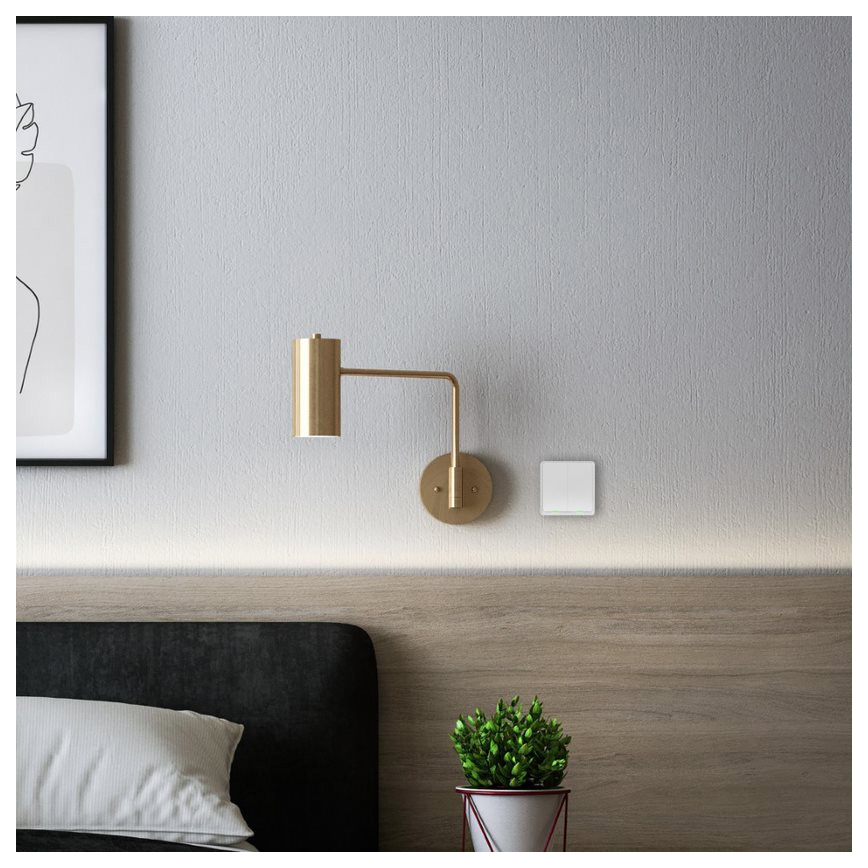 Întrerupător inteligent fără fir 2P 1xCR2430 ZigBee Tesla