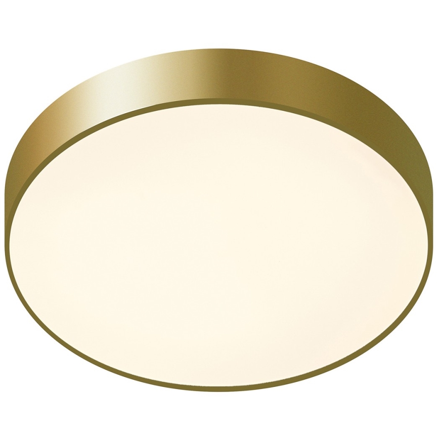 ITALUX - Plafonieră LED ORBITAL LED/30W/230V 3000K auriu