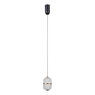 ITALUX ALANI - Lustră suspendată pe cablu LED, 6W, 230V, 3000K, negru/auriu