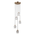 ITALUX - Candelabru suspendat pe cablu TORNO 5xE14/40W/230V, auriu