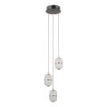 ITALUX - Lustră LED pe cablu ALANI 3xLED/5W/230V 3000K negru/auriu