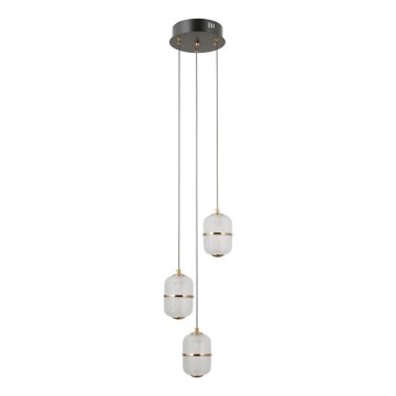 ITALUX - Lustră LED pe cablu ALANI 3xLED/5W/230V 3000K negru/auriu