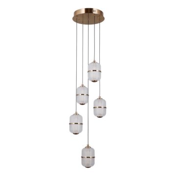 ITALUX - Lustră LED suspendată pe cablu ALANI 5xLED/5,6W/230V 3000K aurie