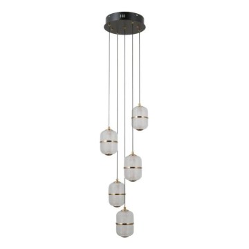 ITALUX - Lustră LED suspendată pe cablu ALANI 5xLED/5,6W/230V 3000K negru/auriu