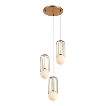 ITALUX - Lustră pe cablu MATTY 3xE27/40W/230V auriu