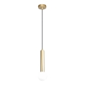 ITALUX - Lustră suspendată pe cablu FILANO 1xG9/5W/230V, aurie
