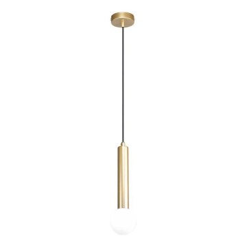 ITALUX - Lustră suspendată pe cablu FILANO 1xG9/5W/230V, aurie