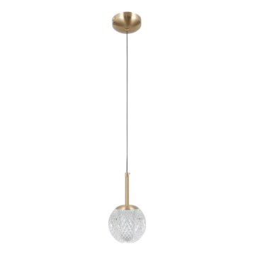 ITALUX - Lustră suspendată pe cablu PADRI 1xG9/5W/230V, aurie