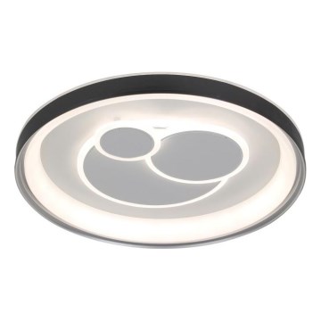 ITALUX - Plafonieră LED dimabilă FLORINA LED/46W/230V 3000/4000/6500K, Ø 49 cm, negru + telecomandă
