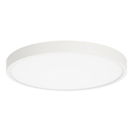 ITALUX - Plafonieră LED RIBERIO LED/30W/230V 3000K alb