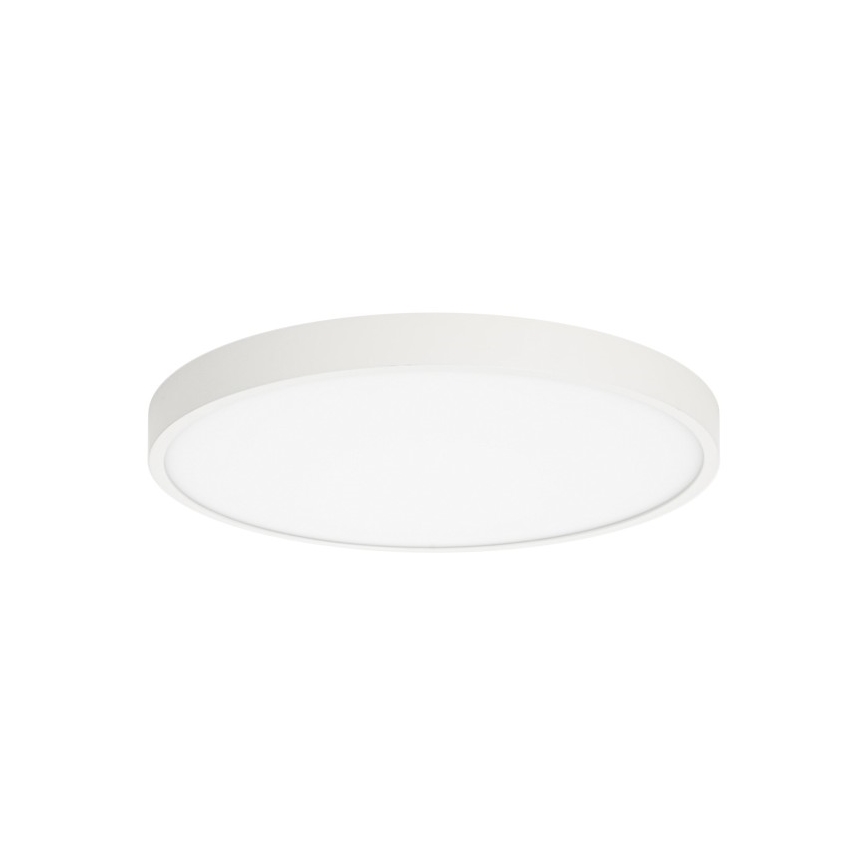 ITALUX - Plafonieră LED RIBERIO LED/30W/230V 3000K alb
