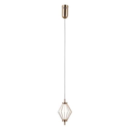 ITALUX - Lustru LED suspendat pe cablu SEVILLA LED/5W/230V 3000K, auriu