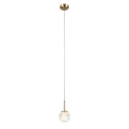 ITALUX - Lustră suspendată pe cablu PADRI 1xG9/5W/230V, aurie