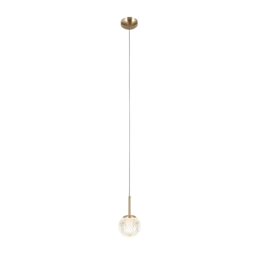 ITALUX - Lustră suspendată pe cablu PADRI 1xG9/5W/230V, aurie