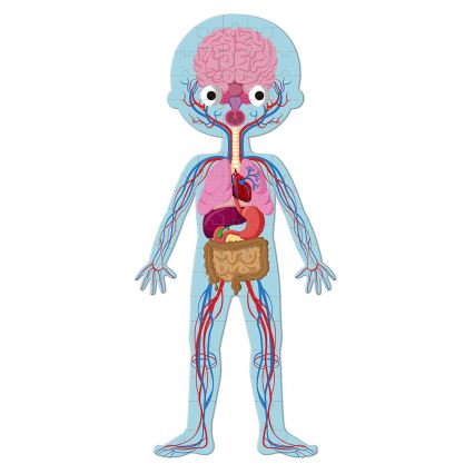 Janod - Puzzle educațional pentru copii 225 piese corpul uman