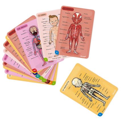 Janod - Puzzle magnetic BODYMAGNET corp uman