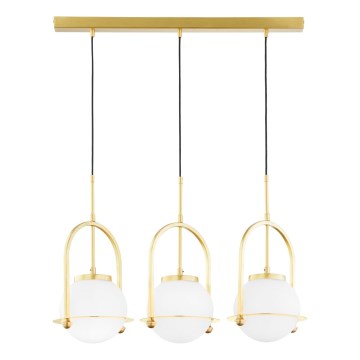 Jupiter 1917 - Lustră suspendată pe cablu ROSSO 3xE27/15W/230V aurie