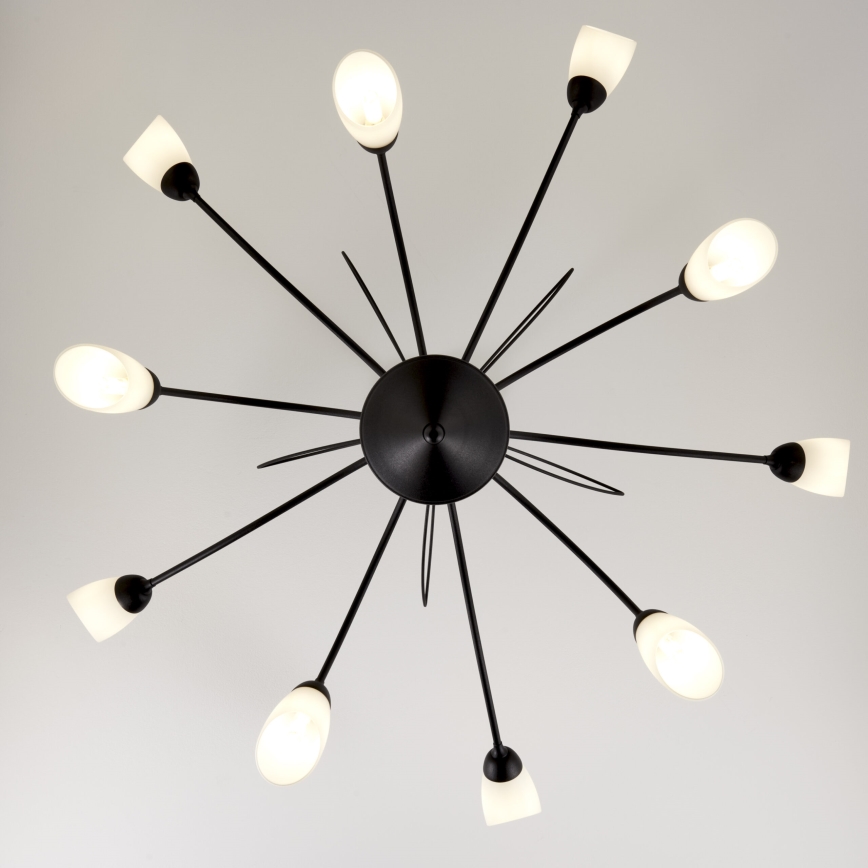 Jupiter 2056 - Candelabru GLORIOSA pe tijă 10xG9/14W/230V, negru