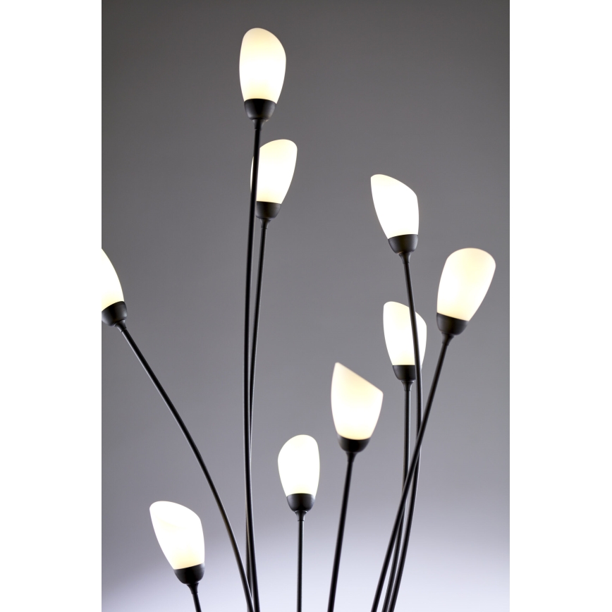 Jupiter 2058 - Lampă de podea GLORIOSA, 9 x G9, 14 W, 230 V, neagră