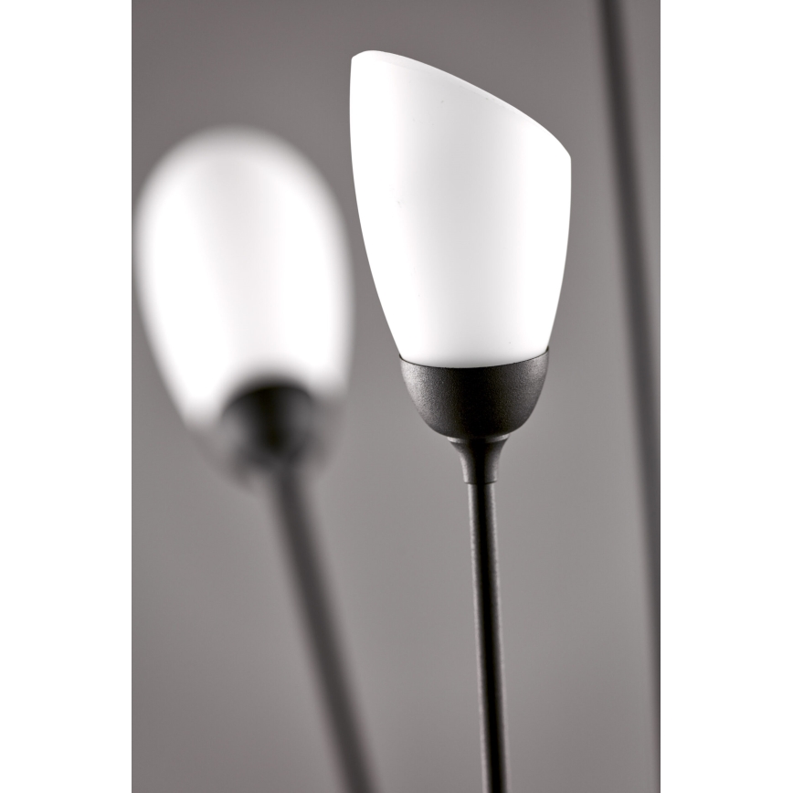 Jupiter 2058 - Lampă de podea GLORIOSA, 9 x G9, 14 W, 230 V, neagră