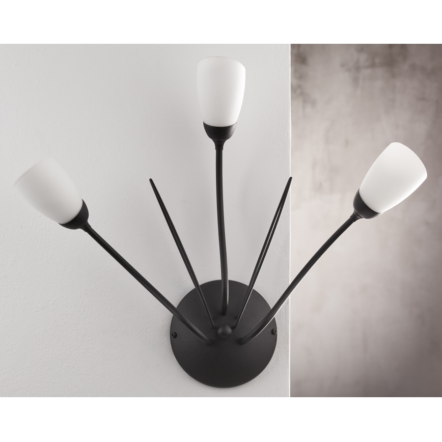 Jupiter 2059 - Aplică de perete GLORIOSA 3xG9/14W/230V, neagră