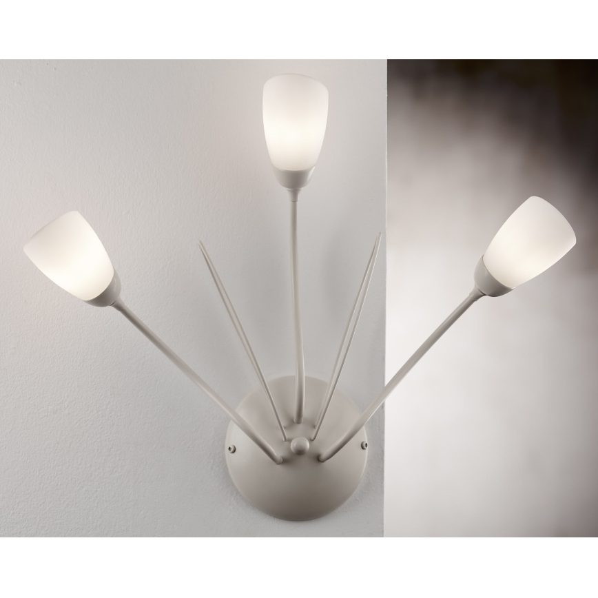 Jupiter 2064 - Aplică de perete GLORIOSA 3xG9/14W/230V, crem