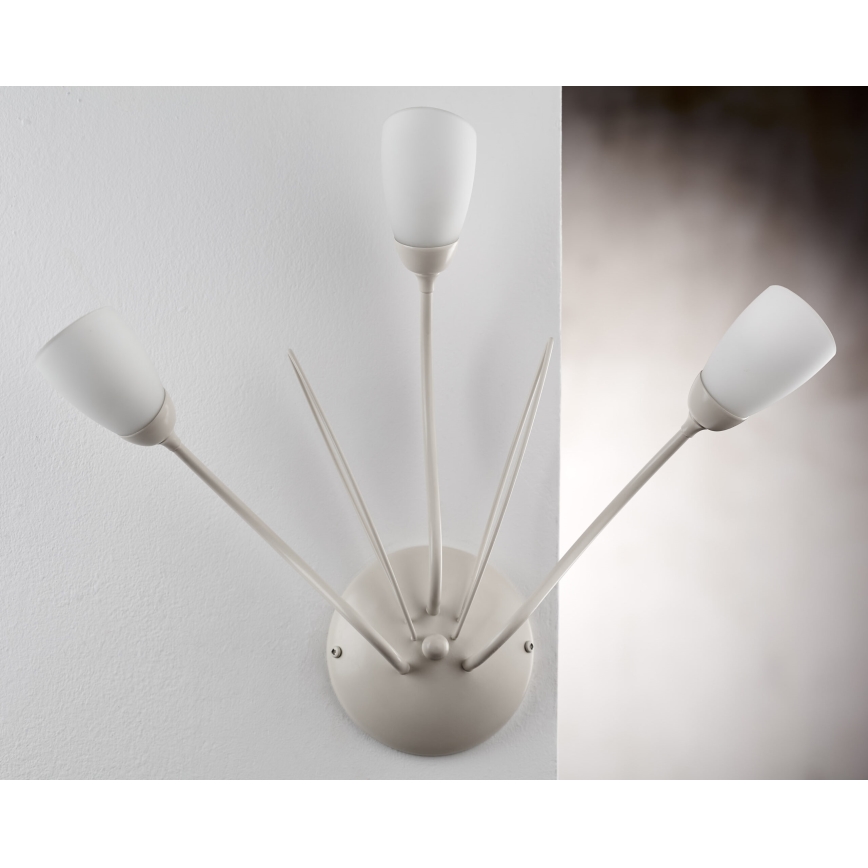 Jupiter 2064 - Aplică de perete GLORIOSA 3xG9/14W/230V, crem