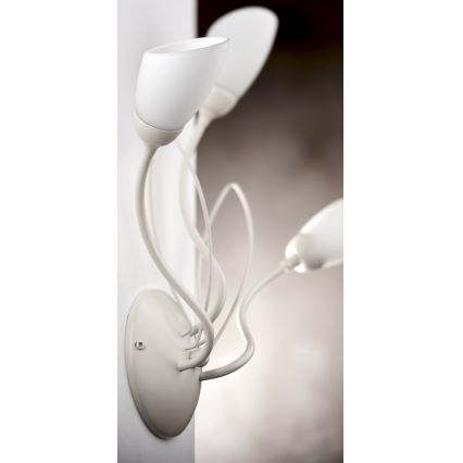 Jupiter 2064 - Aplică de perete GLORIOSA 3xG9/14W/230V, crem