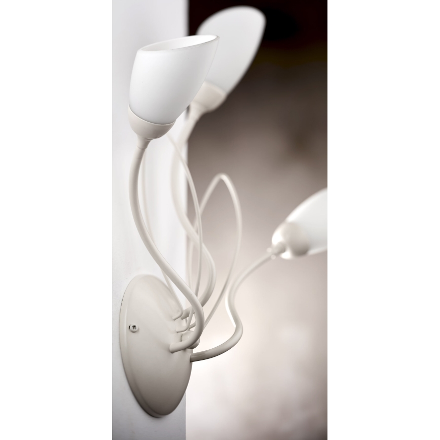 Jupiter 2064 - Aplică de perete GLORIOSA 3xG9/14W/230V, crem