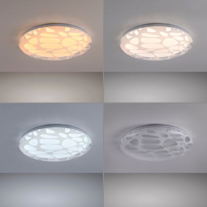 JUST LIGHT. 14009-16 - Plafonieră LED dimabilă ART PLAFO LED/20W/230V 2700-6500K Ø 38 cm albă + telecomandă