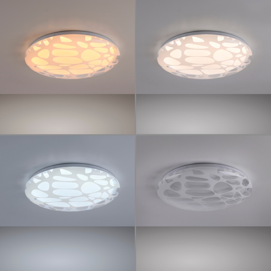 JUST LIGHT. 14009-16 - Plafonieră LED dimabilă ART PLAFO LED/20W/230V 2700-6500K Ø 38 cm albă + telecomandă