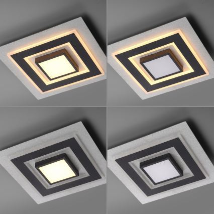 JUST LIGHT. 14439-21 - Plafonieră LED CICHIO LED/18,5W/230V + LED/9W 40x40 cm negru