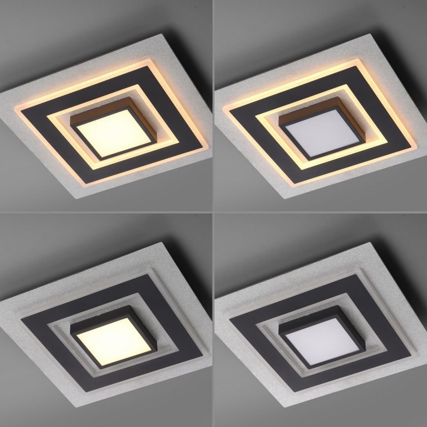 JUST LIGHT. 14439-21 - Plafonieră LED CICHIO LED/18,5W/230V + LED/9W 40x40 cm negru