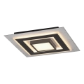 JUST LIGHT. 14439-21 - Plafonieră LED CICHIO LED/18,5W/230V + LED/9W 40x40 cm negru