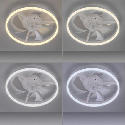 JUST LIGHT. 14624-16 - Ventilator de tavan LED dimabil cu lumină RITA LED/22W/230V 3000-6000K Ø 50 cm alb + telecomandă