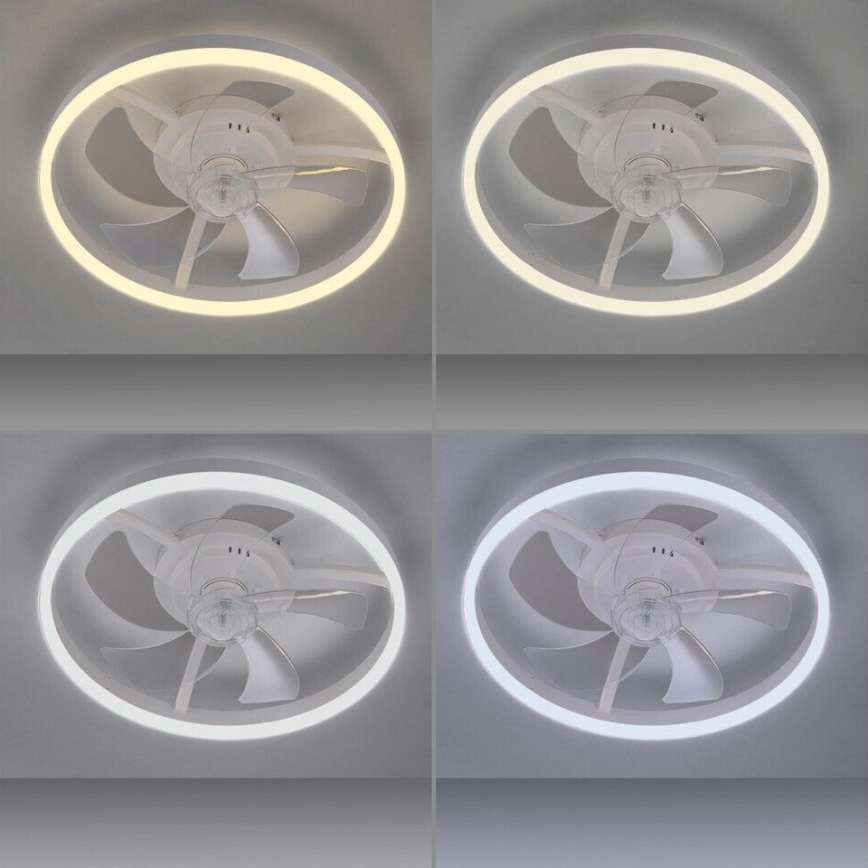 JUST LIGHT. 14624-16 - Ventilator de tavan LED dimabil cu lumină RITA LED/22W/230V 3000-6000K Ø 50 cm alb + telecomandă