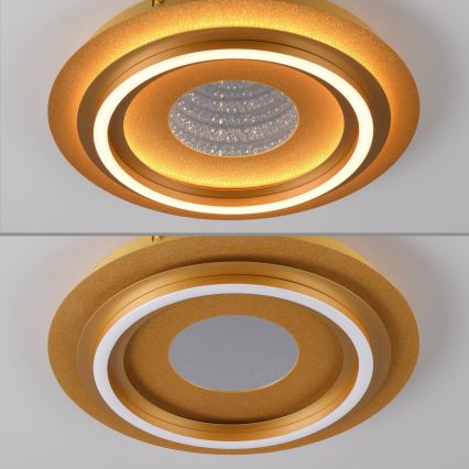 JUST LIGHT. 15089-60 - Plafonieră LED CICHIO LED/36W/230V Ø 40 cm aurie