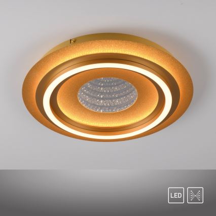 JUST LIGHT. 15089-60 - Plafonieră LED CICHIO LED/36W/230V Ø 40 cm aurie