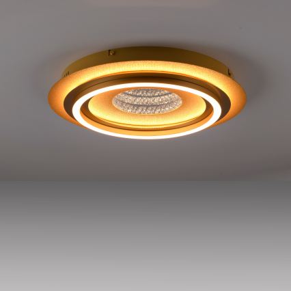 JUST LIGHT. 15089-60 - Plafonieră LED CICHIO LED/36W/230V Ø 40 cm aurie
