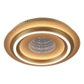 JUST LIGHT. 15089-60 - Plafonieră LED CICHIO LED/36W/230V Ø 40 cm aurie