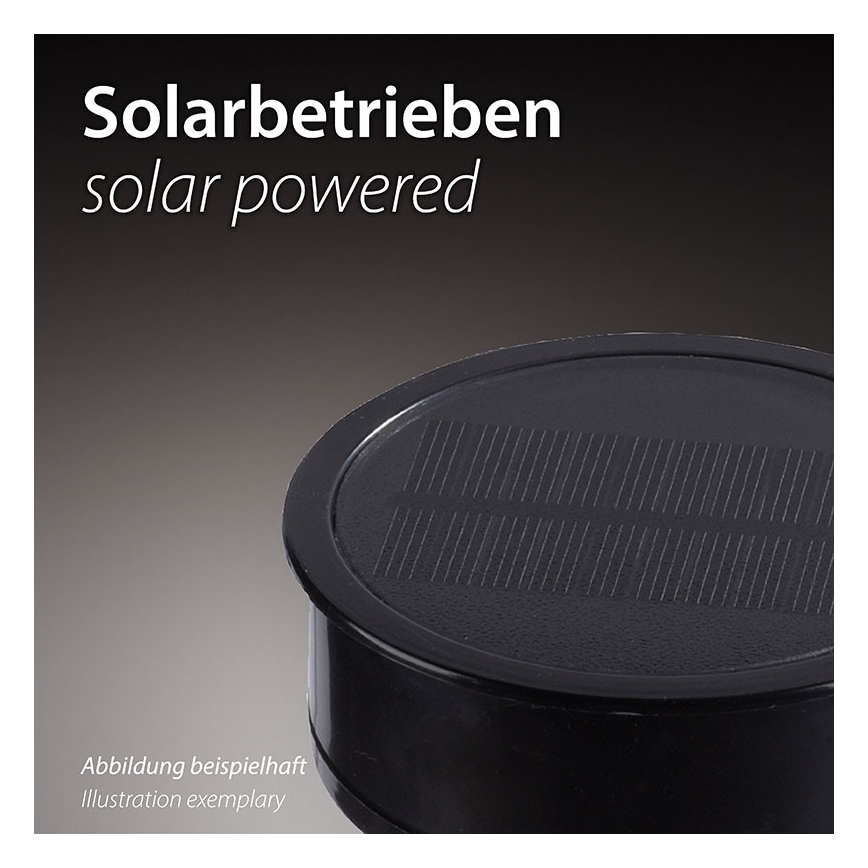 JUST LIGHT. 19106-18-3 - SET 3x LED Lampă solară FACKEL LED/0,24W/1,2V 200 mAh IP44 negru