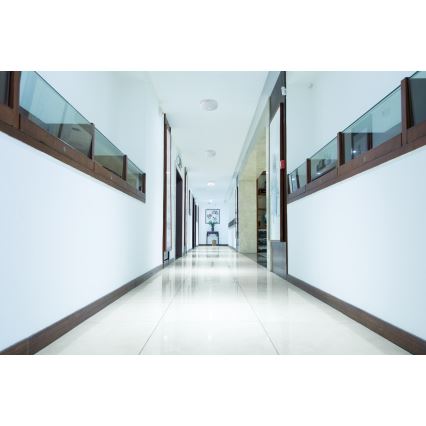 Plafonieră LED cu senzor de mișcare și de crepuscul FOGLER LED/17W/230V Ø 33 cm