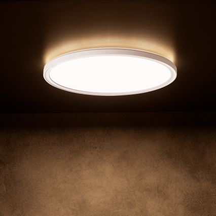 Plafonieră LED AZPO 11,8W/230V, 3000/4000/6000K, Ø 22,5 cm, IP54, albă