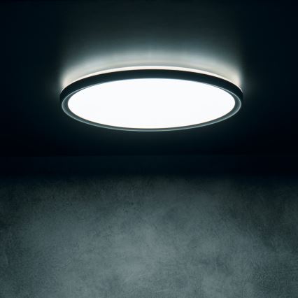 Plafonieră LED AZPO LED/22W/230V 3000/4000/6000K Ø 42 cm IP54 neagră