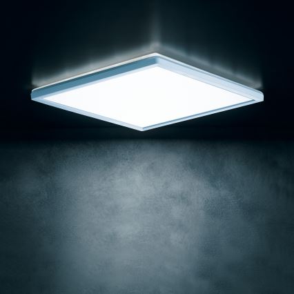 Plafonieră LED AZPO LED/12,3W/230V 3000/4000/6000K 22,5x22,5 cm IP54 alb